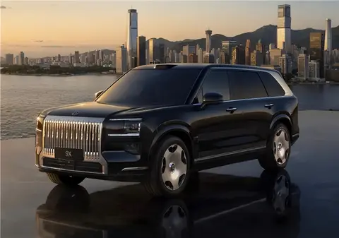 网友关心的极氪 9X DHE20TDE 耐用性怎么样？